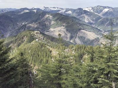 Inscore selected to travel to World Expo 2025 in Osaka as part of trade delegation